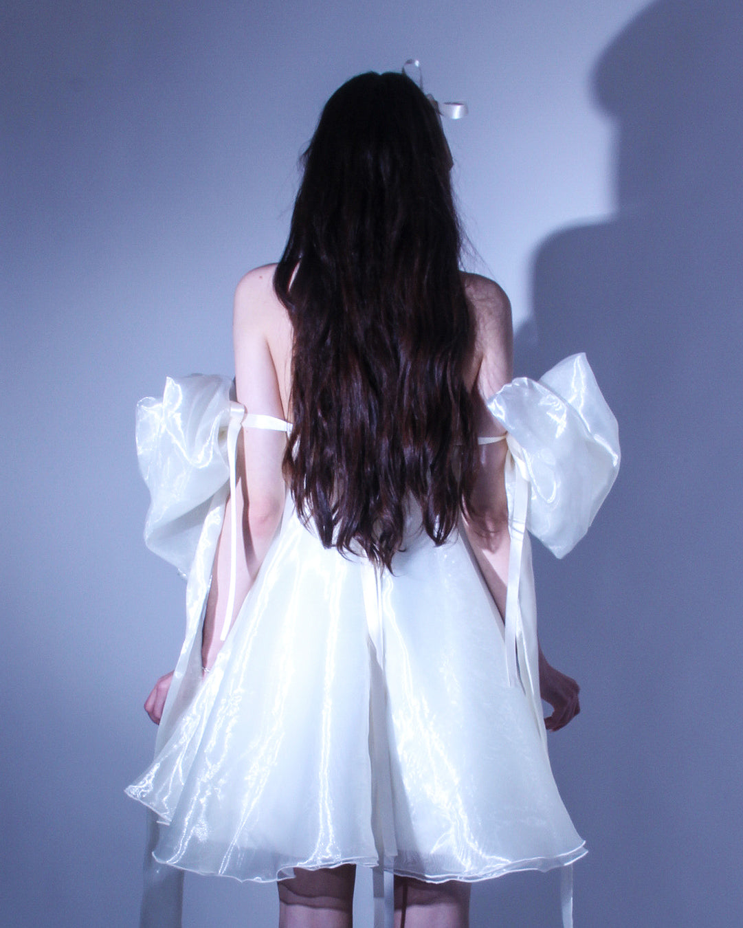 Lavina Официална Рокля