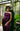 Thisbe Официална и Абитуриентска Рокля